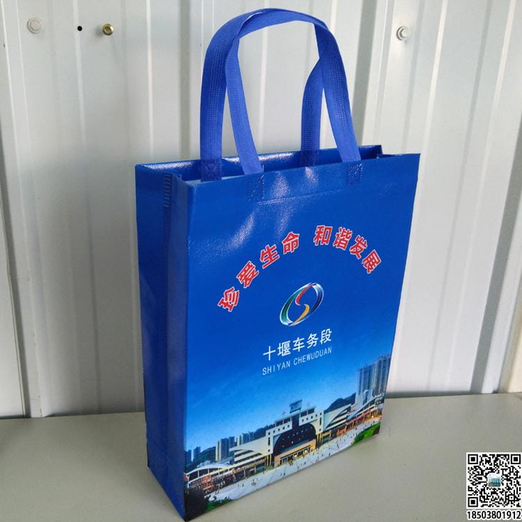 教育培训班无纺布袋 学校辅导机构无纺布手提袋广告袋宣传袋  第28张