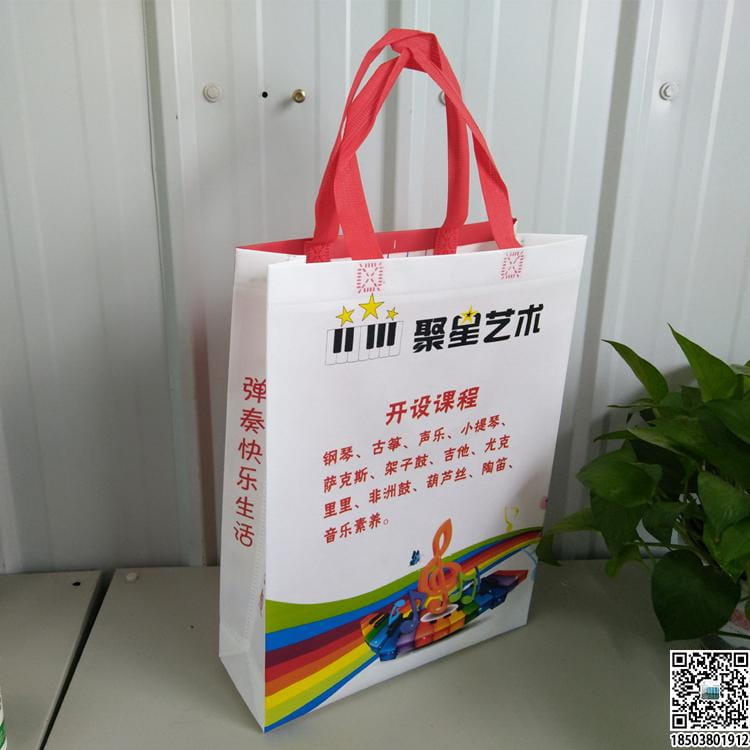 教育培训班无纺布袋 学校辅导机构无纺布手提袋广告袋宣传袋  第43张