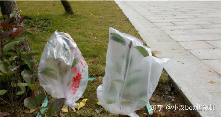 原来塑料袋还能这么用?19个实用妙招「精选」 第4张 原来塑料袋还能这么用?19个实用妙招「精选」 第4张