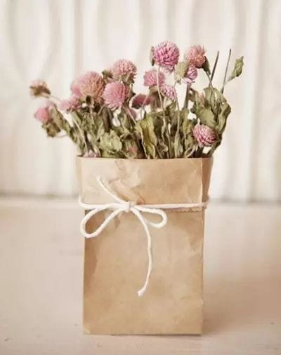 牛皮纸袋这么一套，绿萝都变洋气了  第7张