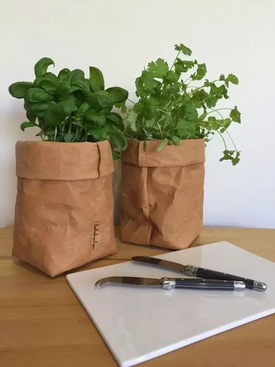 牛皮纸袋这么一套，绿萝都变洋气了  第9张