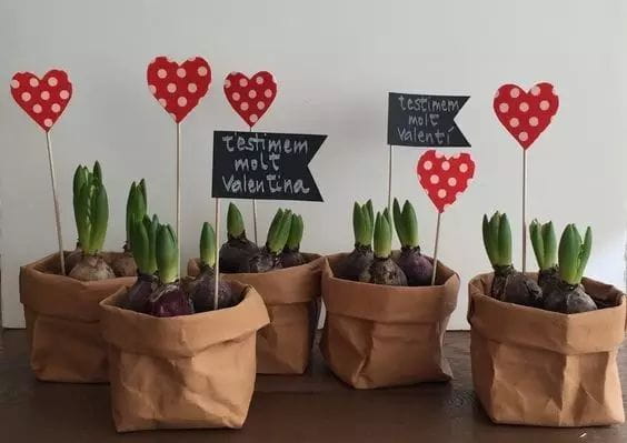 牛皮纸袋这么一套，绿萝都变洋气了  第11张