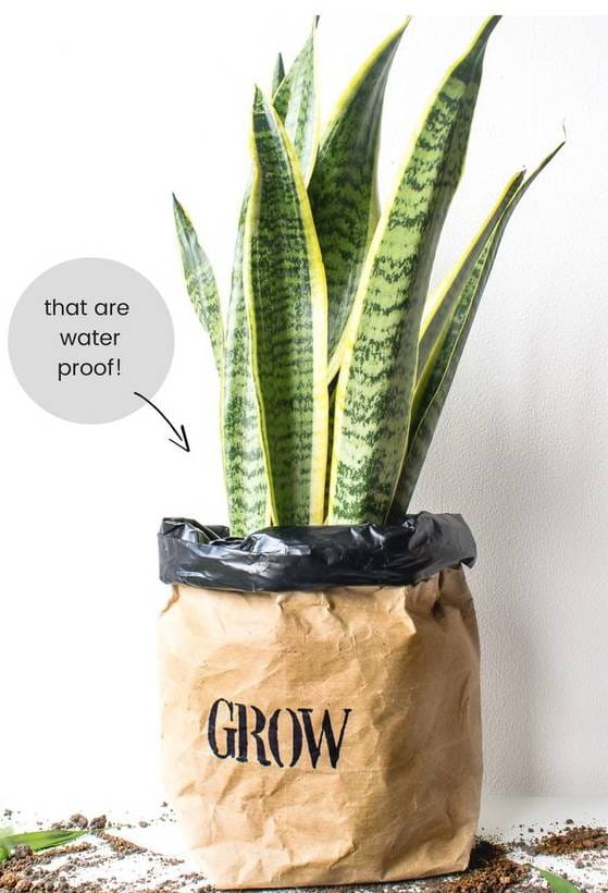 牛皮纸袋这么一套，绿萝都变洋气了  第13张