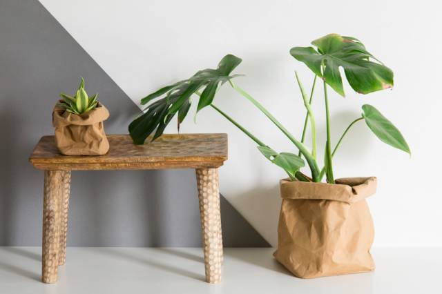 牛皮纸袋 vs 包包包包包包包治百病丨纸糊的身子爆款的命  第14张