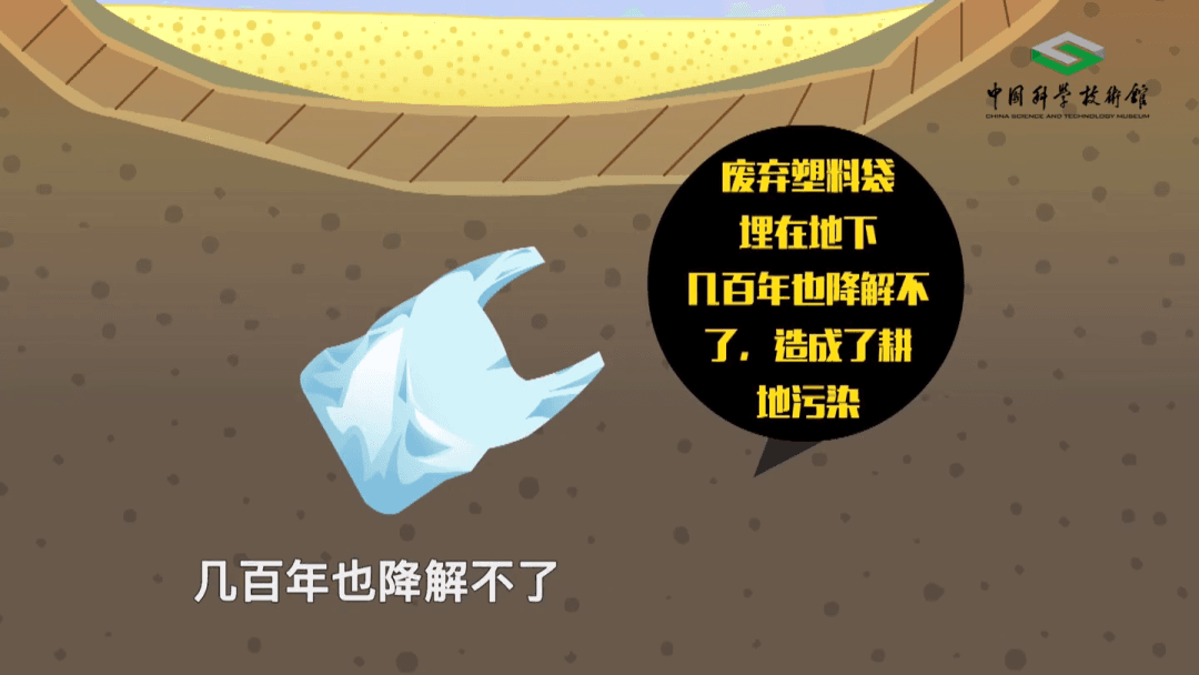 【环保科普】纸袋真的比塑料袋环保？答案出乎意料  第14张