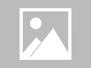 无纺布面粉袋厂家订制