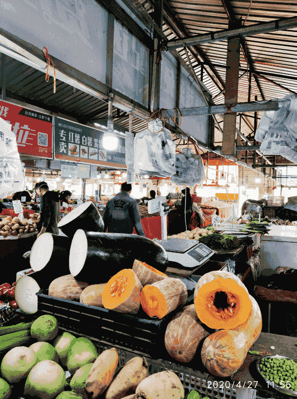 环保科普 | 为什么要禁塑、限塑？ 第13张